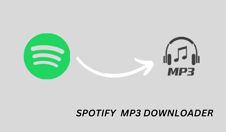 Spotify mp3 downloader